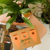 Trio of Mini Ollas - The Plant Waterer