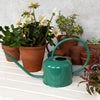 Green One Litre Watering Can a Albert & Moo