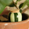 Green Striped Olla - The Plant Waterer by Pepin at Albert & Moo