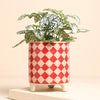 Pink and Red Checkerboard Mini Plant Pot at Albert & Moo