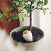 Pure White Olla - The Plant Waterer