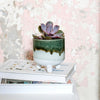 Green Mojave Plant Pot at Albert & Moo Interiors
