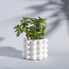 White Bobble Plant Pot at Albert & Moo