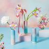 Ombre Bud Vase | Albert & Moo