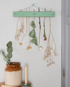 Green Flower Drying Kit by Studio Wald at Albert & Moo