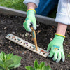 Growing Gardeners Planting Ruler and Dibber at Albert & Moo