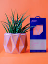 Large Coral Origami Geometric Self-Watering Plant Pot at Albert & Moo