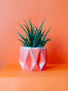 Large Coral Eco Friendly Self-Watering Plant Pot at Albert & Moo
