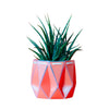Large Coral Eco Friendly Self-Watering Plant Pot at Albert & Moo
