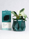 Medium Deep Green Self-Watering Ocean Plant Pot by POTR at Albert & Moo