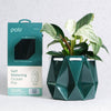 Medium Deep Green Self-Watering Ocean Plant Pot by POTR at Albert & Moo
