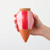 Red and Pink Striped Olla - The Plant Waterer at Albert & Moo