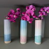 Ombre Bud Vase | Albert & Moo
