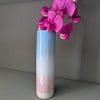 Ombre Bud Vase | Albert & Moo