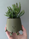 Small Green Happy Pot at Albert & Moo