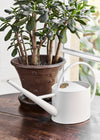 Sophie Conran Buttermilk Watering Can at Albert & Moo