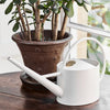 Sophie Conran Buttermilk Watering Can at Albert & Moo