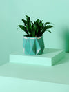 Small Aqua Blue Eco Friendly Self-Watering Plant Pot