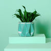 Small Aqua Blue Self-Watering Plant Pot by POTR at Albert & Moo