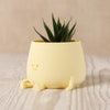 Yellow cartoon-style planter with a succulent on a wooden surface