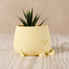 Yellow planter with a smiley face on a wooden surface