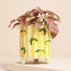 Yellow Striped Lemons Ceramic Plant Pot at Albert & Moo