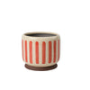 Red stripe plant pot at Albert & Moo