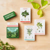 Houseplant Care Cards at Albert & Moo