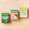 Houseplant Care Cards at Albert & Moo, plant themed gifts for under £10
