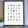 Framed Houseplant A3 Print