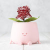 Medium Pink Happy Pot by Ingadi | Albert & Moo