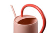 Pink Scalloped Indoor Watering Can