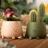 Happy Pots by Ingadi | Albert & Moo