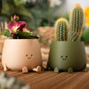 Happy Pots by Ingadi at Albert & Moo for cute plant pots and plant gifts.