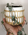 Speckled White & Woven Boho Plant Pot at Albert & Moo
