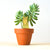 Brass Animal Plant Decoration Fox at Albert Moo for great plant gifts