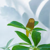 Brass Animal Plant Decoration Owl at Albert & Moo for plant gifts