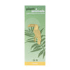 Brass Animal Plant Decoration Toucan at Albert & Moo
