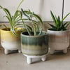 Green Mojave Glaze Plant Pot at Albert & Moo