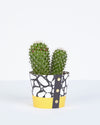 Medium Cobbles Print Plant Pot Cover by Studio Wald at Albert & Moo