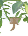 Plant Animal Flying Squirrel by Another Studio at Albert & Moo