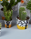 Plant Pot Covers by Studio Wald at Albert & Moo