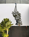 Golden Pothos Bookmark by Another Studio at Albert & Moo