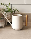 Stone Indoor Watering Can by Burgon & Ball at Albert & Moo