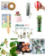 A Plant Lovers Gift Guide