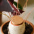 #Shopsmall: Five Great Garden Centres and Nurseries