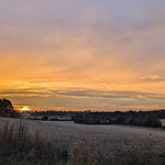 Behind The Scenes: October 2024: Changes