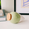Pale Green Olla - The Plant Waterer at Albert & Moo for great gifts for plant lovers.