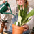 Plant Care & Plant Gifts including watering cans, Ollas and plant decorations