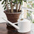 Sophie Conran Buttermilk Watering Can at Albert & Moo